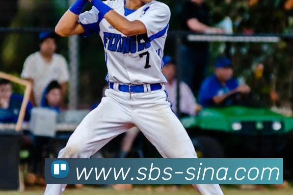 新浪体育平台平台生态图